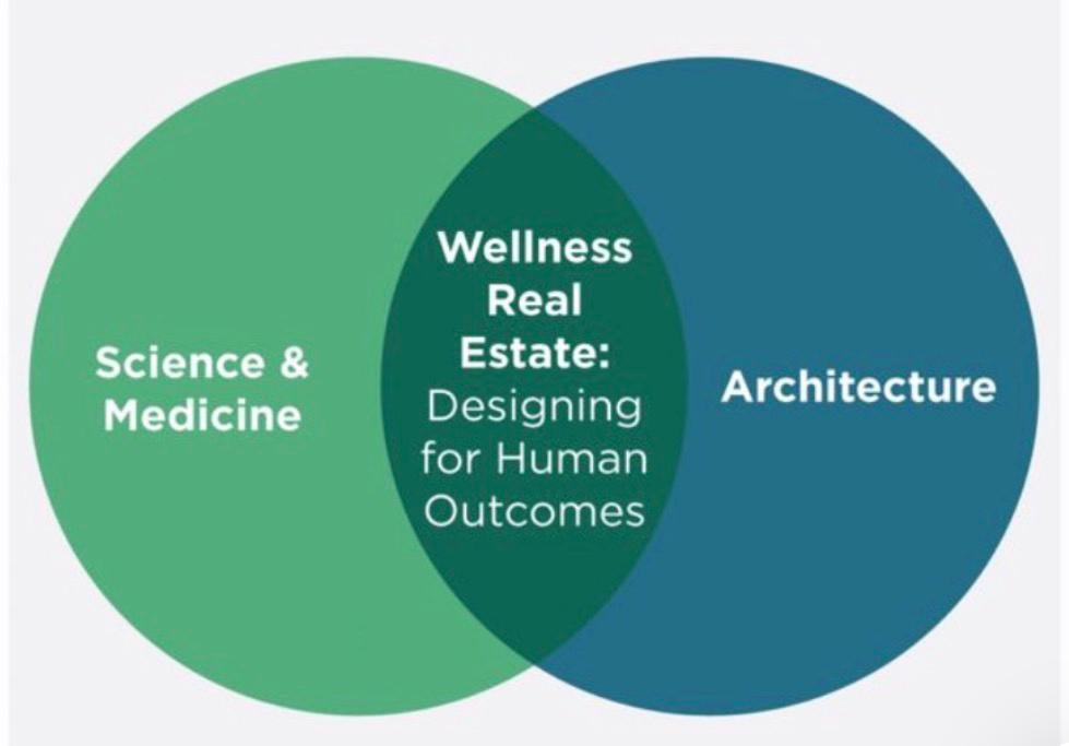Wellness Real Estate: Designing for Human Outcomes
